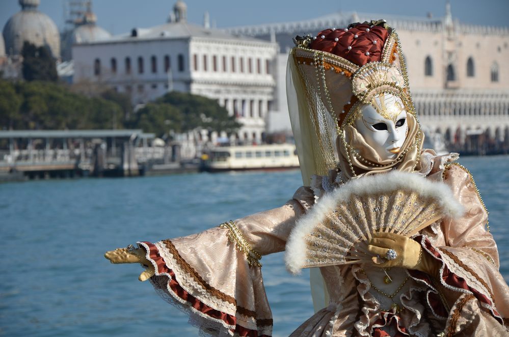 Carnevale di Venezia 2012 - VIII