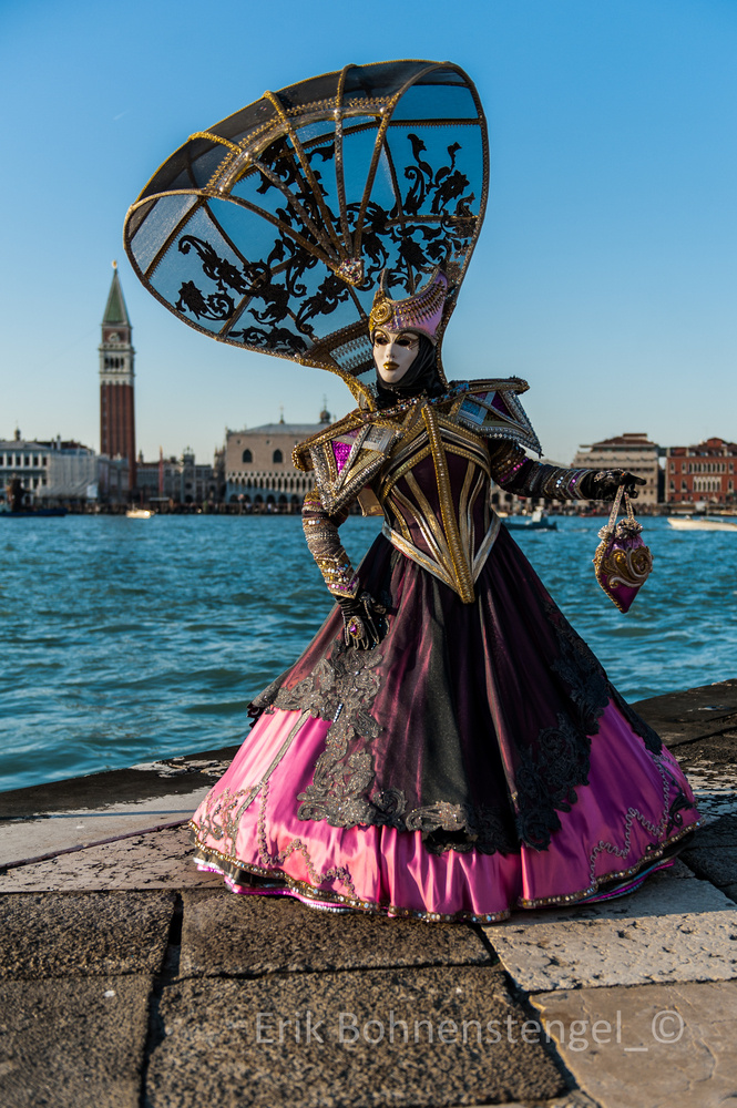 Carnevale di Venezia 2012_13