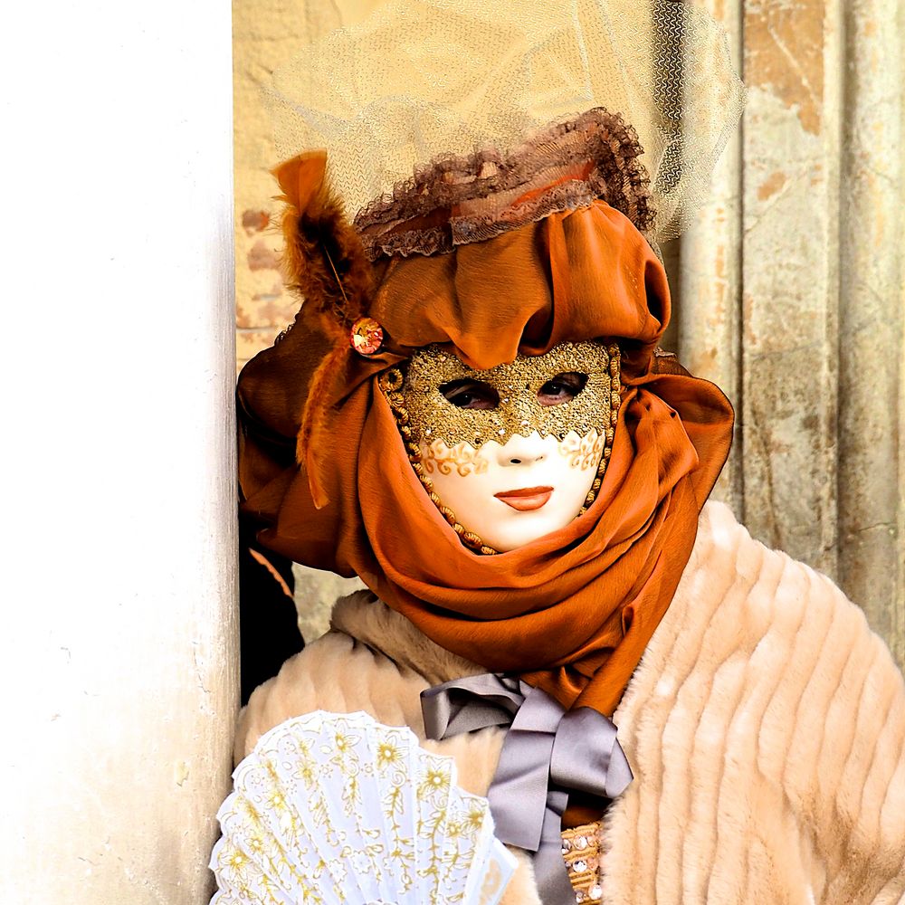 carnevale di venezia . 2018