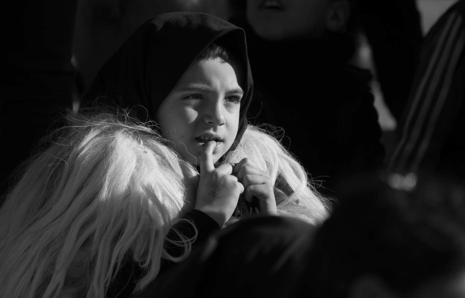 carnevale Ottana, Sardegna