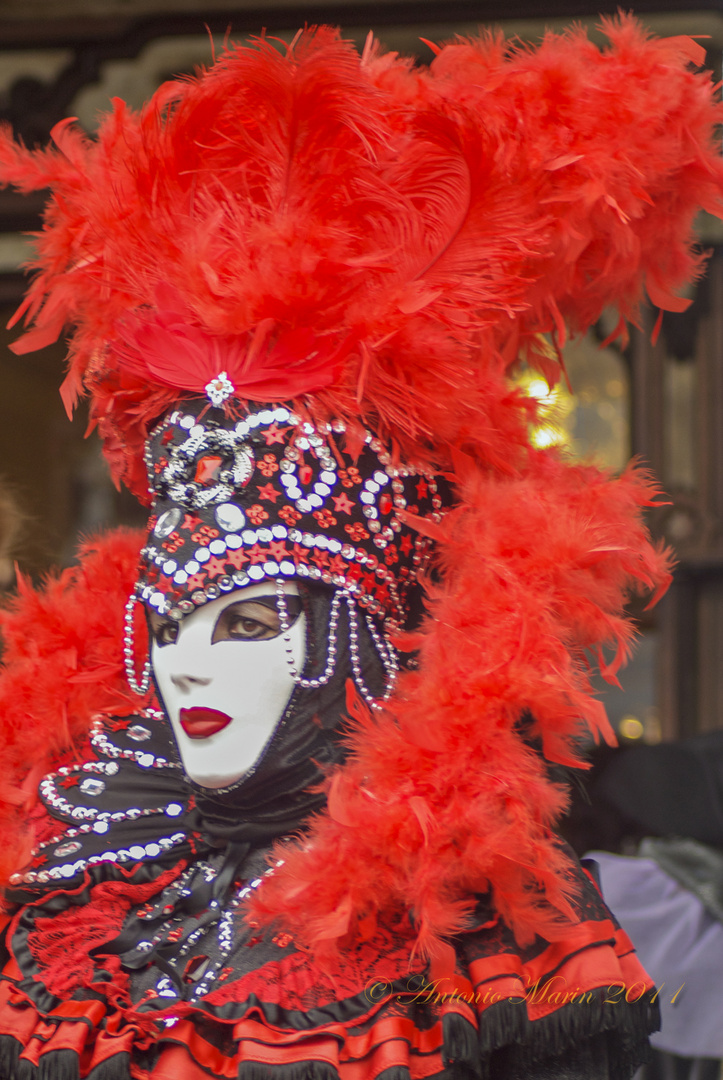 carnevale Venezia 2011