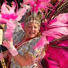 Carnival der Kulturen 8, Bielefeld, 2011