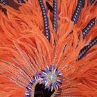 Carnival - headpiece