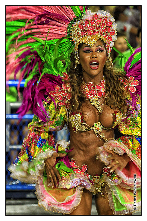 Carnival in Rio de Janeiro 2013 - Sambodromo [III]