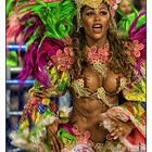 Carnival in Rio de Janeiro 2013 - Sambodromo [III]