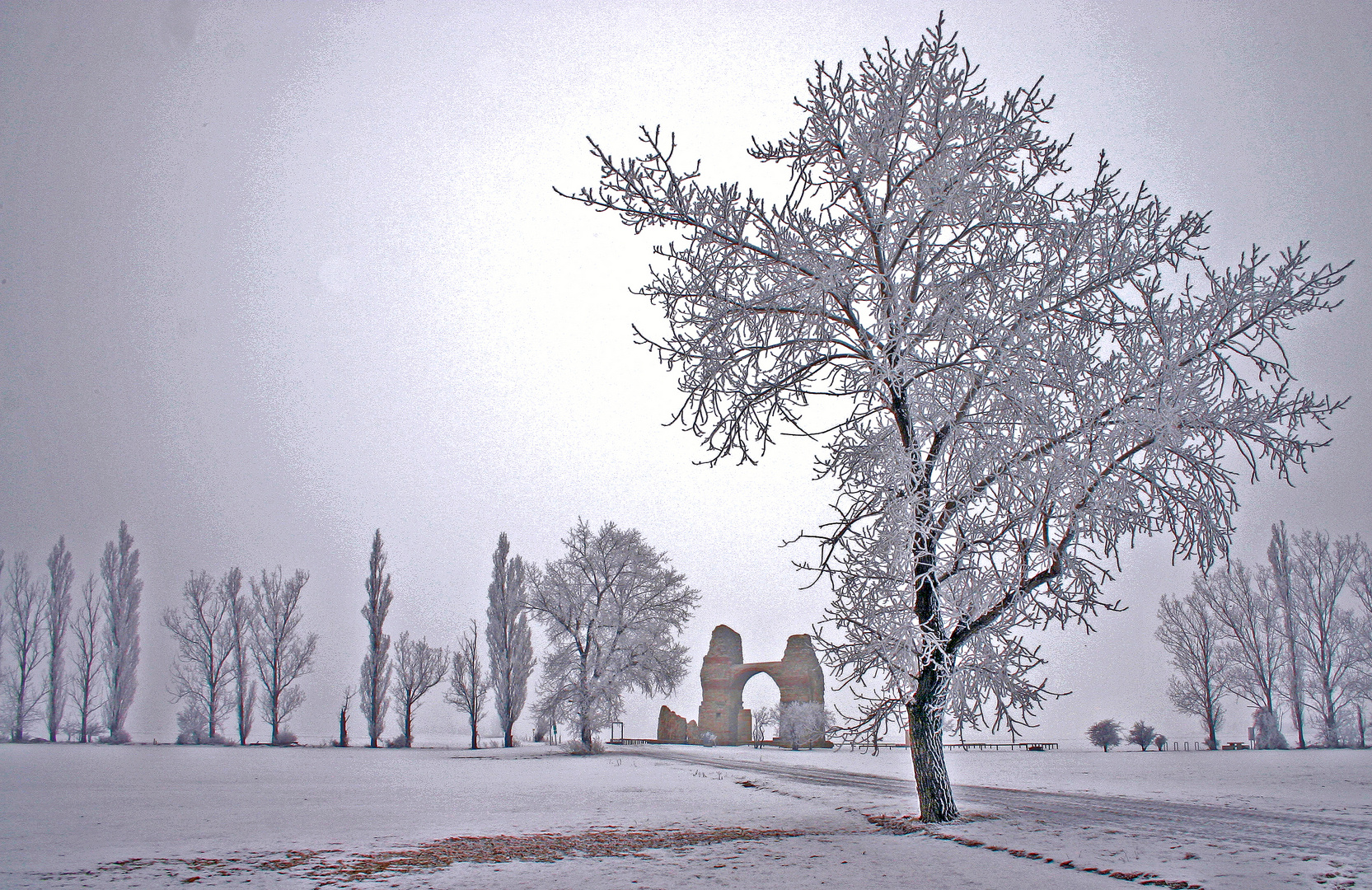 Carnuntum