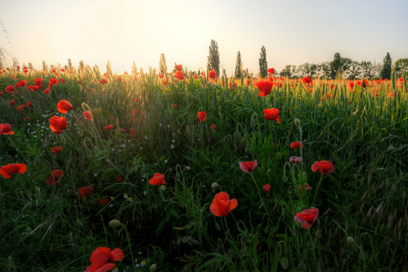 ... Carnuntum - Impressionen #2 ... 