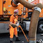 Caro BeherrscherInn des Rüssels