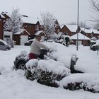 Carol digging out her car