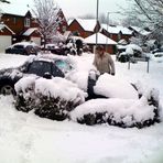 Carol digging out her car two