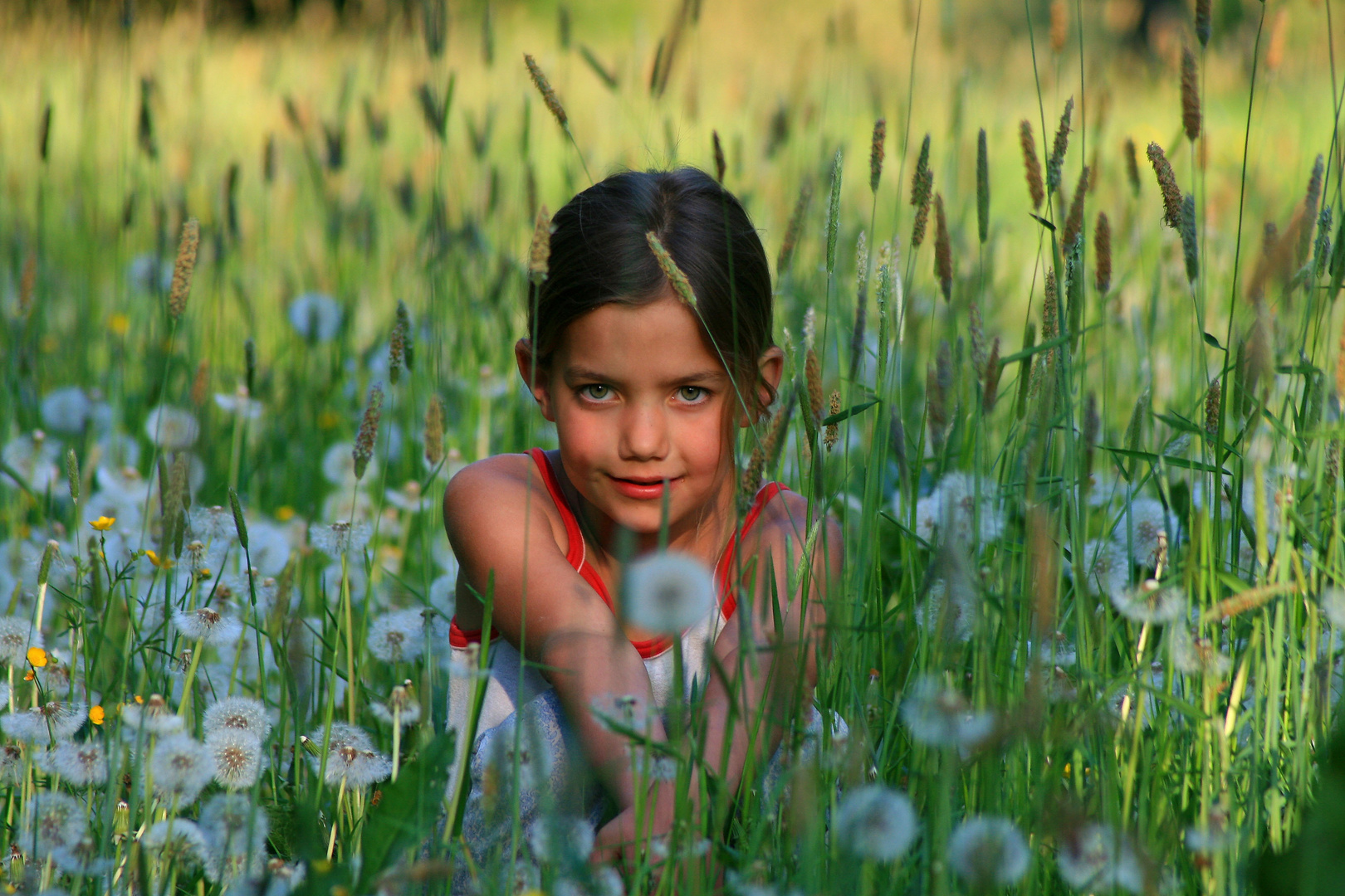 Carolin zwischen Pusteblumen