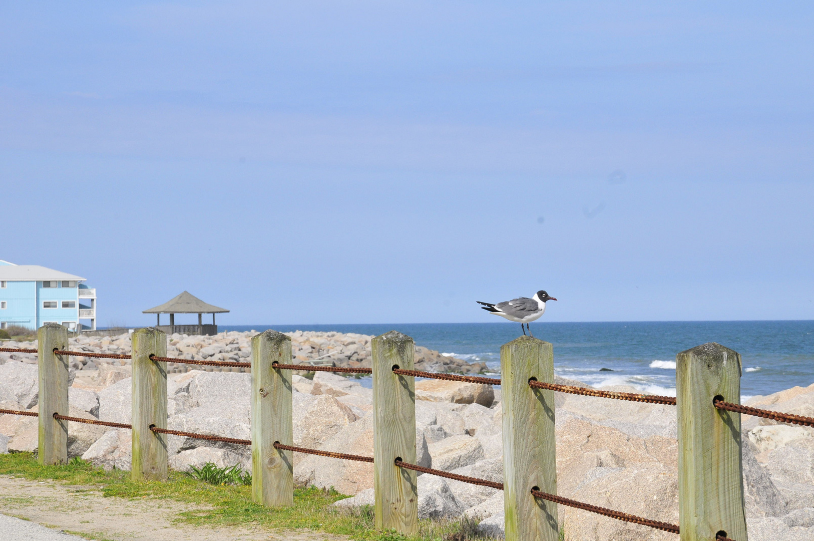 Carolina Beach