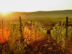 Carolinenhöhe Ingelheim HDR