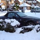 Carols Car dug out