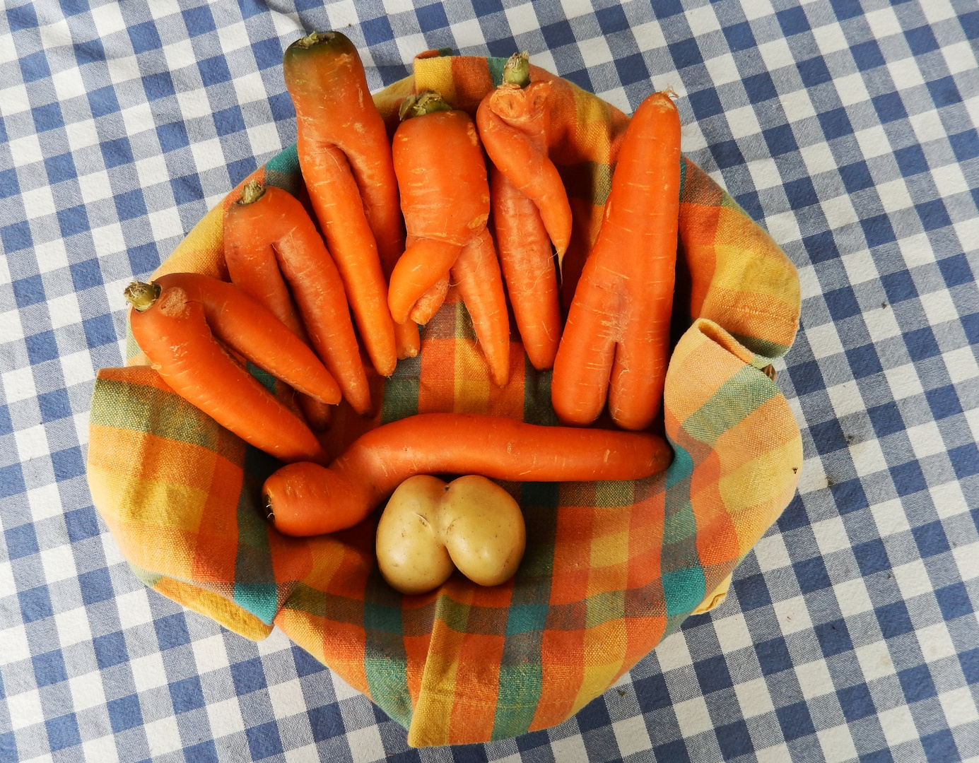 Carottes / Zanahorias / Karotten