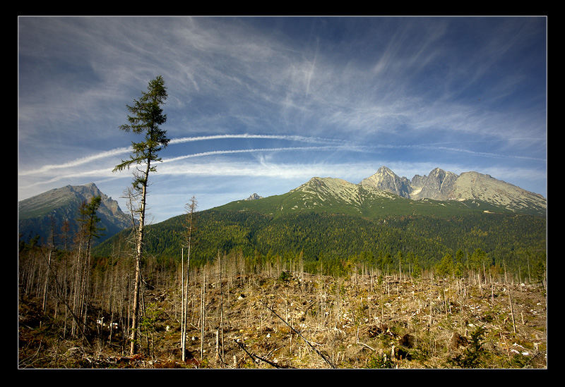 Carpathian Mountains...