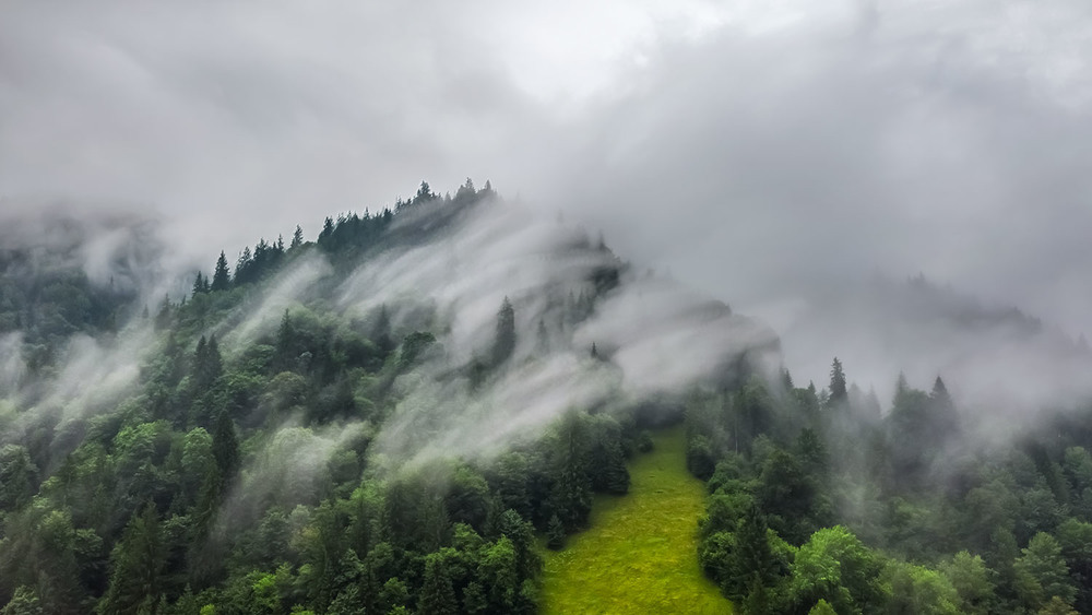 Carpathians