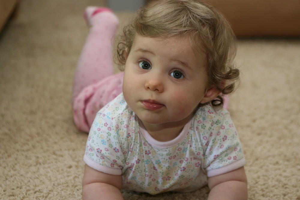 Carpet Crawler