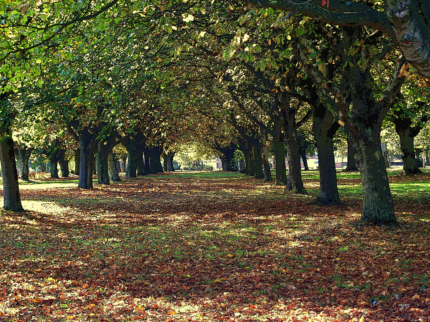 Carpet of Leaves