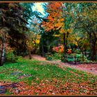 Carpet of leaves