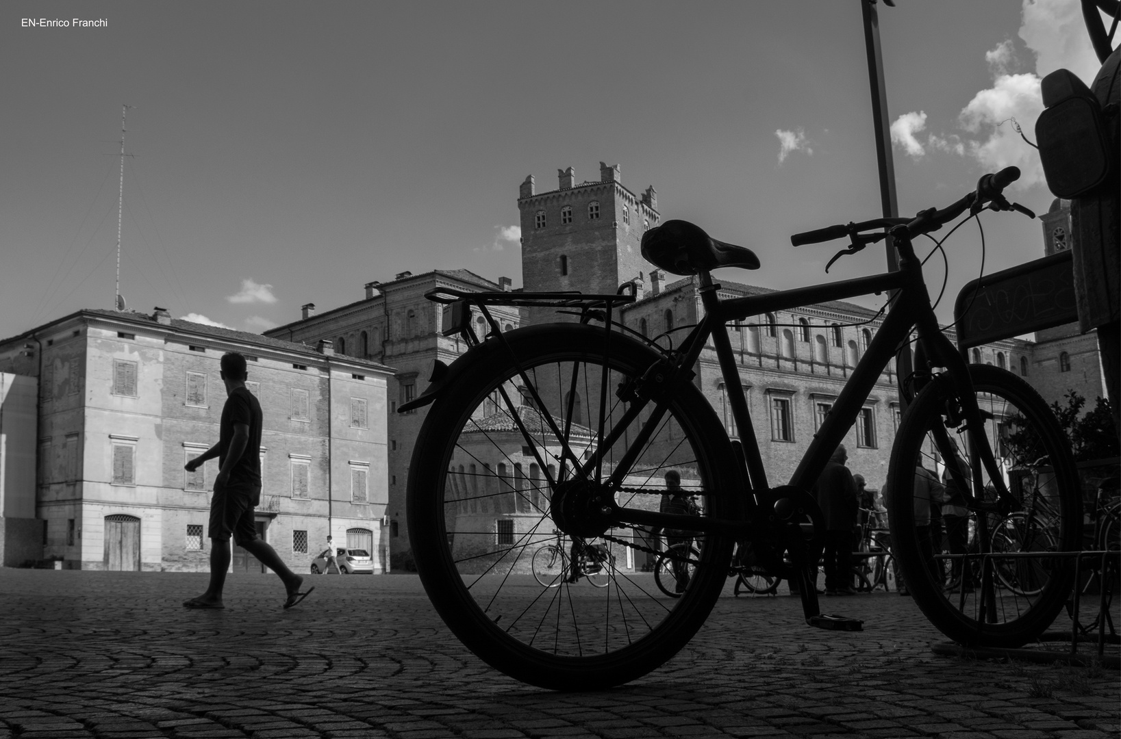 biciclette carpi