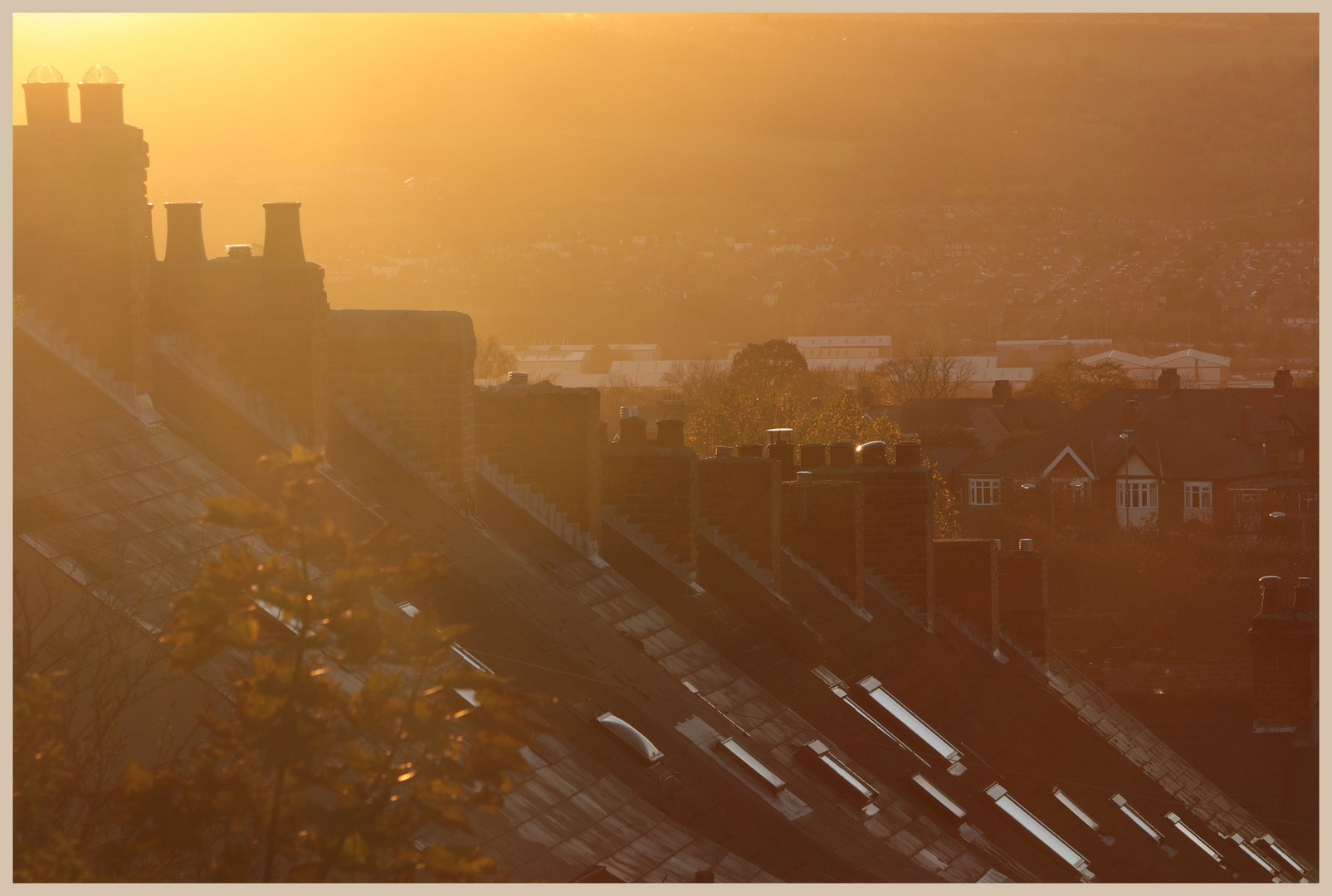 Carr Hill late afternoon