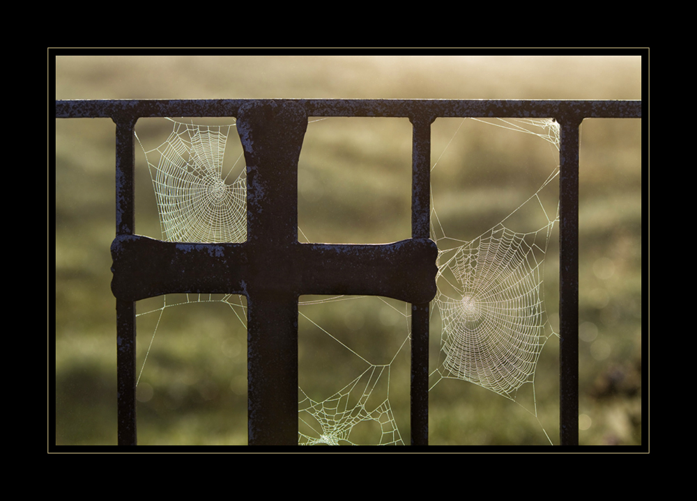 Carran Cross