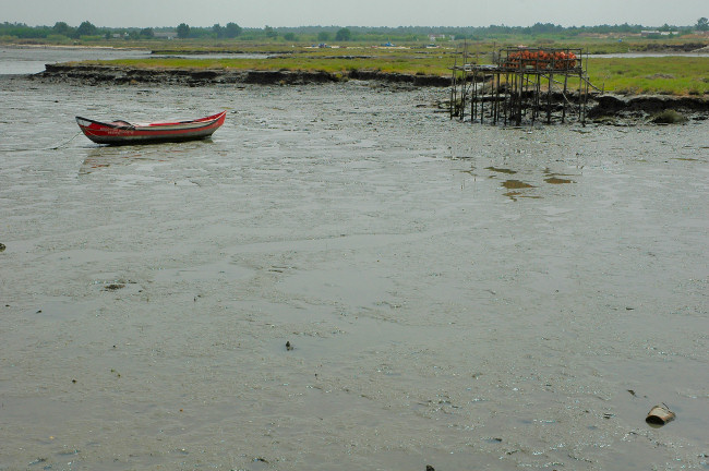 Carrasqueira