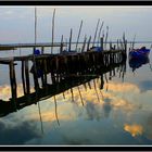 Carrasqueira - Portugal