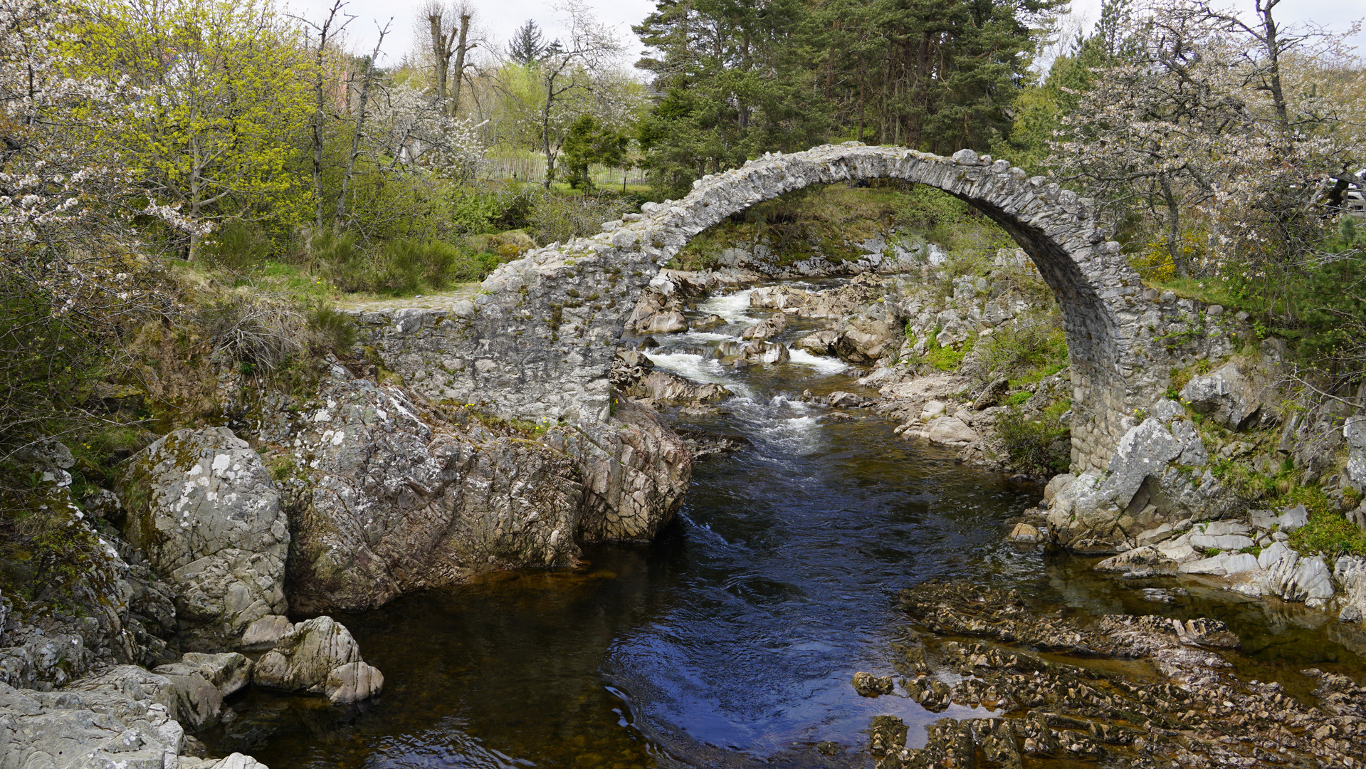 Carrbridge in the Cairngorms National Park, Scotland