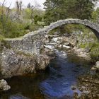 Carrbridge in the Cairngorms National Park, Scotland