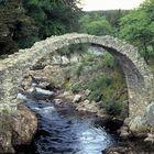 Carrbridge / Scotland