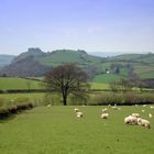 Carreg Cennen Castle up on the Hill.