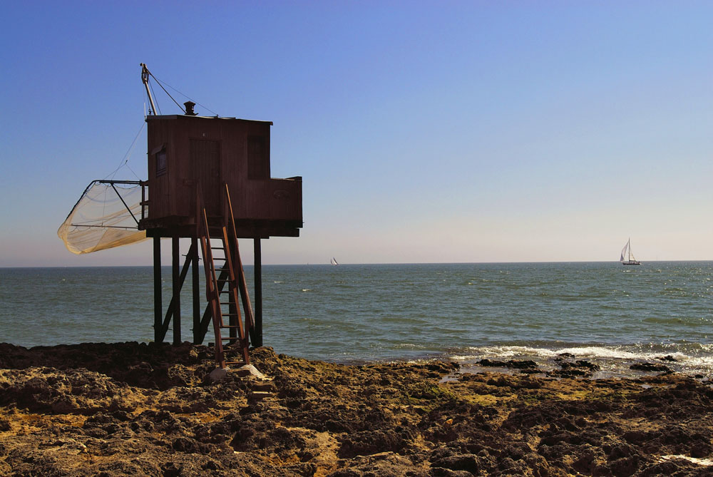 carrelet de cubanophotoarts 