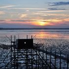 Carrelet au soir d'été