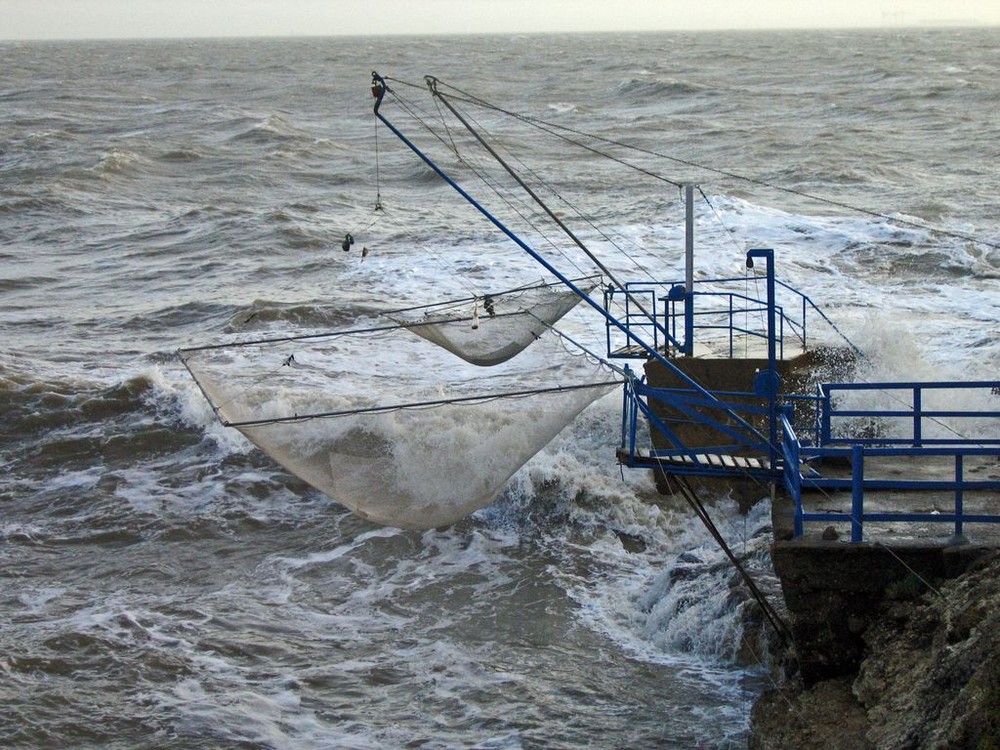 Carrelet dans la tempête