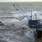 Carrelet dans la tempête