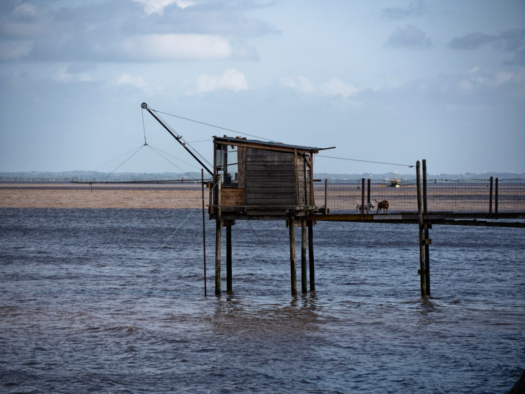 Carrelet sur la gironde