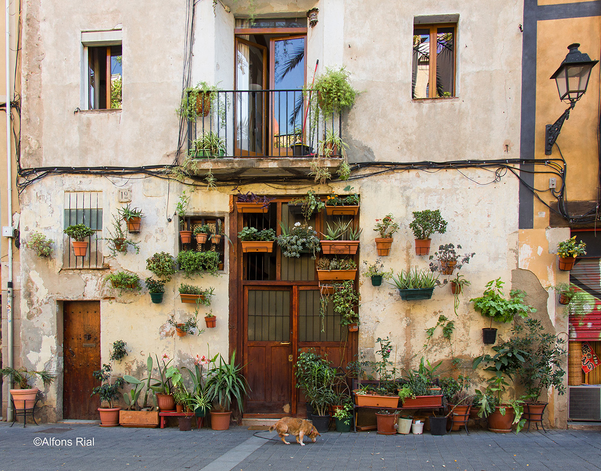 Carrer De L Allada Vermell Allada Vermell Street Photo Image Ciudades Barcelona Antigua Color Calle Fotografia De Calle Barcelona Stre Images At Photo Community