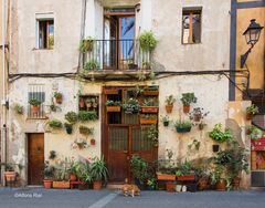 Carrer de l'Allada Vermell - Allada Vermell Street