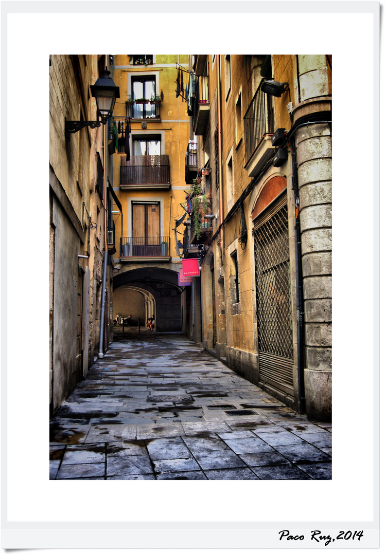 Carrer de les Panses