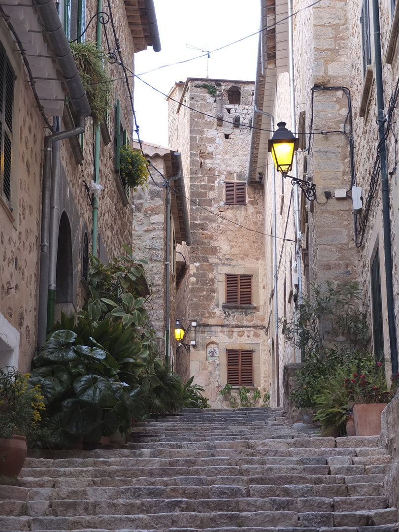 carrer des metge mayol