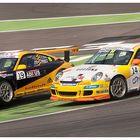 Carrera Cup 2009