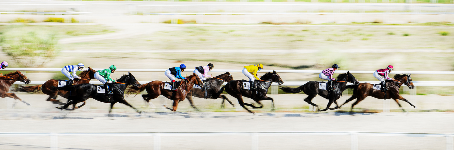 Carrera de caballos