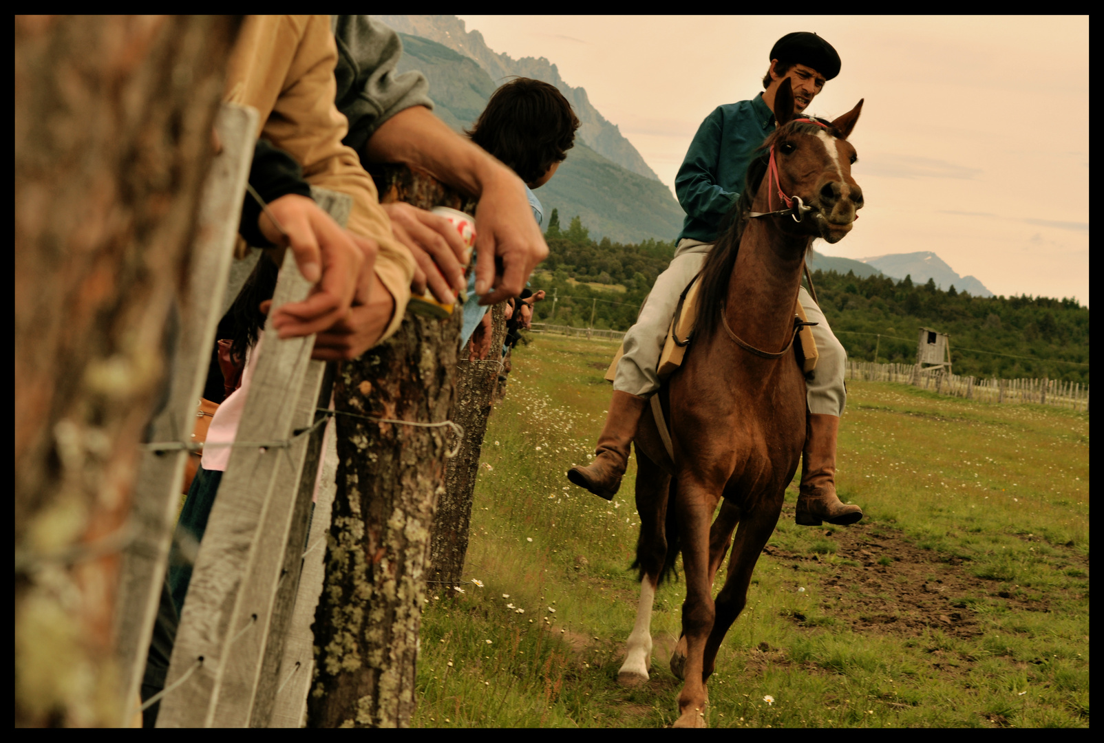 Carrera de Caballos