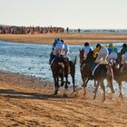 Carrera de caballos de Sanlucar de Barrameda (Cádiz)