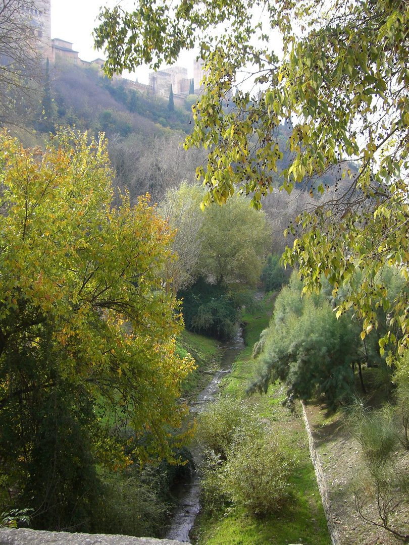 Carrera de Darro