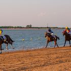 carreras de caballos 3 en Sanlúcar de Barrameda