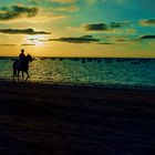 Carreras de caballos en Sanlúcar de Barrameda - España