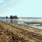 Carreras de caballos en Sanlúcar de Barrameda - España